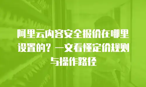阿里云内容安全报价在哪里设置的？一文看懂定价规则与操作路径