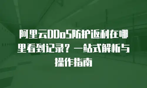 阿里云DDoS防护返利在哪里看到记录？一站式解析与操作指南