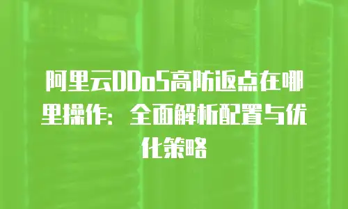 阿里云DDoS高防返点在哪里操作：全面解析配置与优化策略