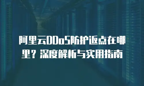 阿里云DDoS防护返点在哪里？深度解析与实用指南