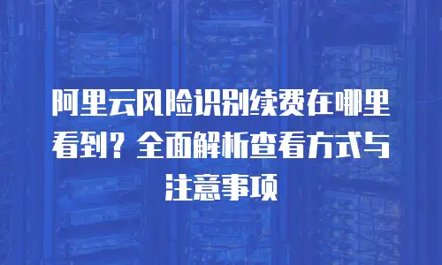 阿里云风险识别续费在哪里看到？全面解析查看方式与注意事项