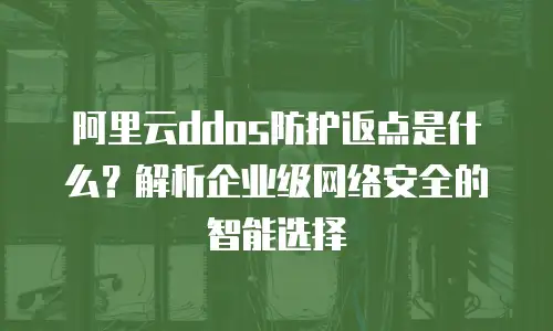 阿里云ddos防护返点是什么？解析企业级网络安全的智能选择