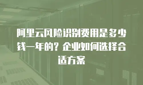 阿里云风险识别费用是多少钱一年的？企业如何选择合适方案