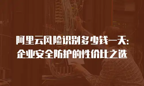阿里云风险识别多少钱一天：企业安全防护的性价比之选