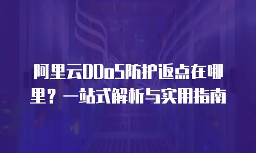 阿里云DDoS防护返点在哪里？一站式解析与实用指南