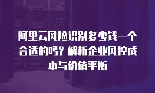 阿里云风险识别多少钱一个合适的吗？解析企业风控成本与价值平衡