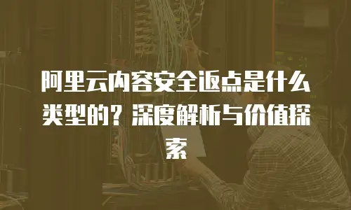 阿里云内容安全返点是什么类型的？深度解析与价值探索