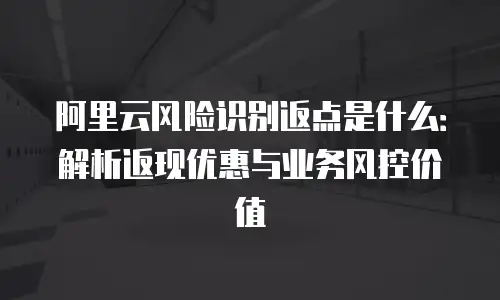 阿里云风险识别返点是什么：解析返现优惠与业务风控价值