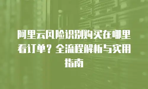 阿里云风险识别购买在哪里看订单？全流程解析与实用指南