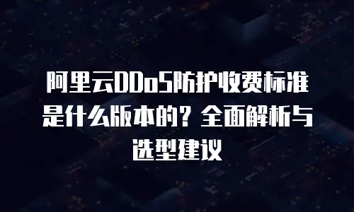 阿里云DDoS防护收费标准是什么版本的？全面解析与选型建议