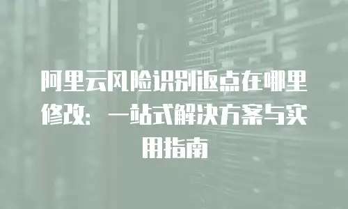 阿里云风险识别返点在哪里修改：一站式解决方案与实用指南