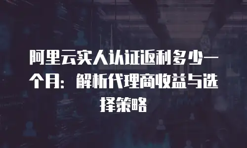 阿里云实人认证返利多少一个月：解析代理商收益与选择策略