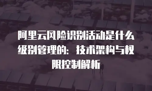 阿里云风险识别活动是什么级别管理的：技术架构与权限控制解析