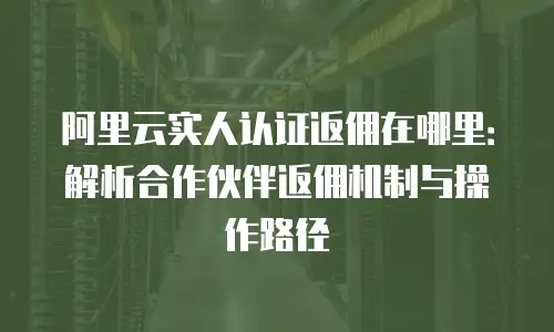 阿里云实人认证返佣在哪里：解析合作伙伴返佣机制与操作路径