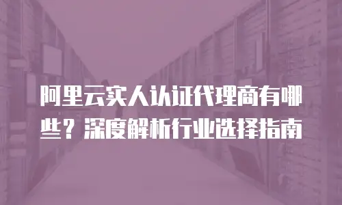 阿里云实人认证代理商有哪些？深度解析行业选择指南