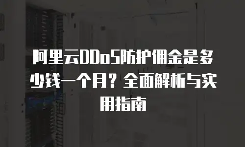 阿里云DDoS防护佣金是多少钱一个月？全面解析与实用指南