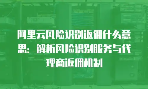 阿里云风险识别返佣什么意思：解析风险识别服务与代理商返佣机制