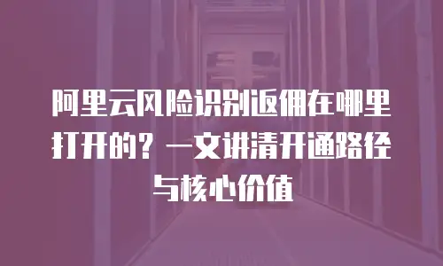 阿里云风险识别返佣在哪里打开的？一文讲清开通路径与核心价值