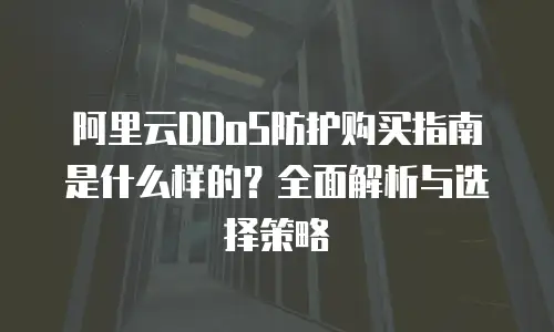 阿里云DDoS防护购买指南是什么样的？全面解析与选择策略