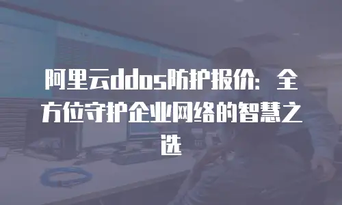 阿里云ddos防护报价：全方位守护企业网络的智慧之选