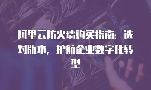 阿里云防火墙购买指南：选对版本，护航企业数字化转型