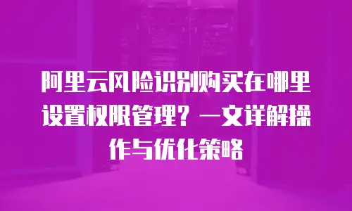 阿里云风险识别购买在哪里设置权限管理？一文详解操作与优化策略