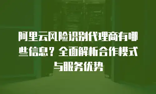 阿里云风险识别代理商有哪些信息？全面解析合作模式与服务优势