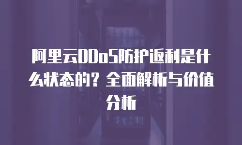 阿里云DDoS防护返利是什么状态的？全面解析与价值分析