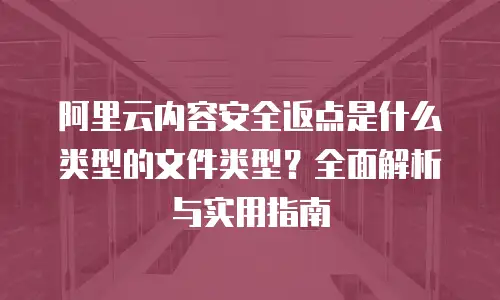 阿里云内容安全返点是什么类型的文件类型？全面解析与实用指南