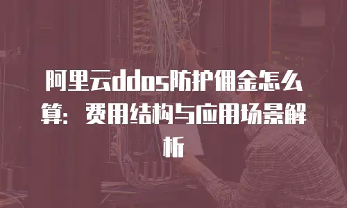 阿里云ddos防护佣金怎么算：费用结构与应用场景解析