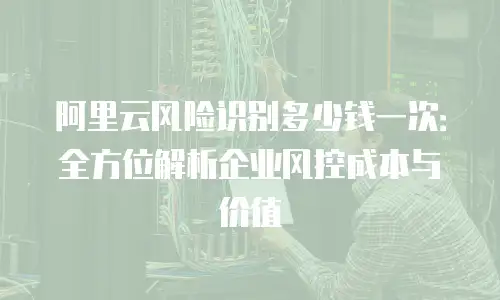 阿里云风险识别多少钱一次：全方位解析企业风控成本与价值