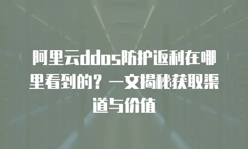 阿里云ddos防护返利在哪里看到的？一文揭秘获取渠道与价值