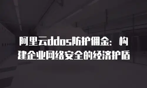 阿里云ddos防护佣金：构建企业网络安全的经济护盾