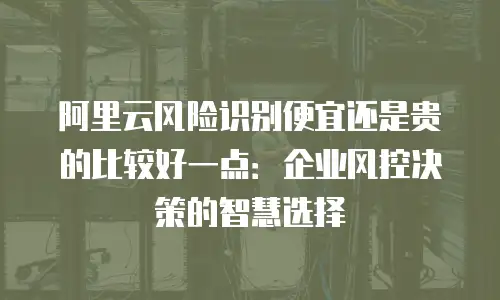 阿里云风险识别便宜还是贵的比较好一点：企业风控决策的智慧选择