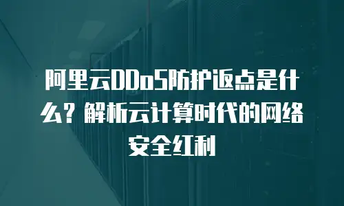 阿里云DDoS防护返点是什么？解析云计算时代的网络安全红利