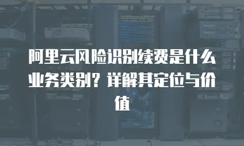 阿里云风险识别续费是什么业务类别？详解其定位与价值