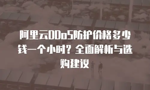 阿里云DDoS防护价格多少钱一个小时？全面解析与选购建议