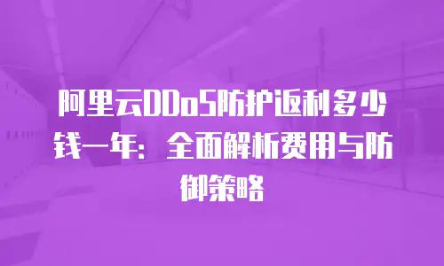 阿里云DDoS防护返利多少钱一年：全面解析费用与防御策略