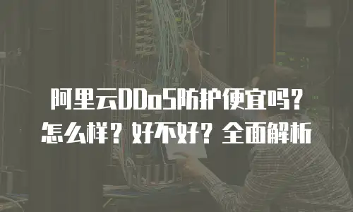 阿里云DDoS防护便宜吗？怎么样？好不好？全面解析