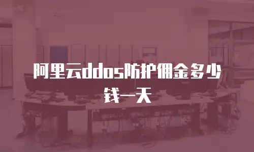阿里云ddos防护佣金多少钱一天