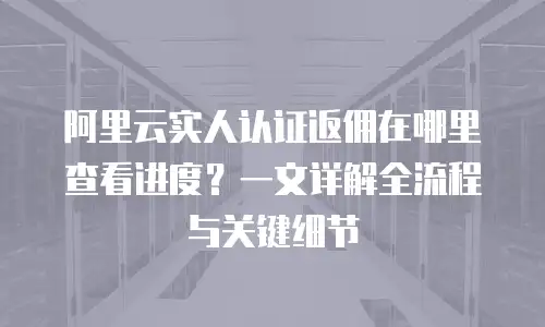 阿里云实人认证返佣在哪里查看进度？一文详解全流程与关键细节