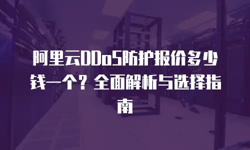 阿里云DDoS防护报价多少钱一个？全面解析与选择指南