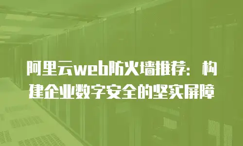 阿里云web防火墙推荐：构建企业数字安全的坚实屏障