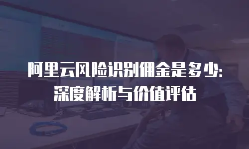 阿里云风险识别佣金是多少：深度解析与价值评估