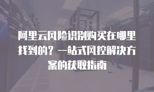 阿里云风险识别购买在哪里找到的？一站式风控解决方案的获取指南