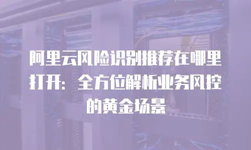 阿里云风险识别推荐在哪里打开：全方位解析业务风控的黄金场景