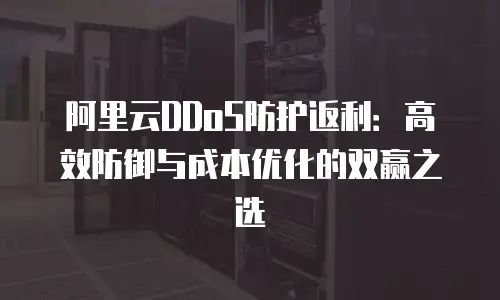阿里云DDoS防护返利：高效防御与成本优化的双赢之选