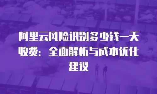 阿里云风险识别多少钱一天收费：全面解析与成本优化建议