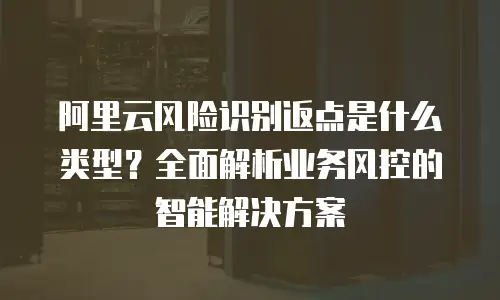 阿里云风险识别返点是什么类型？全面解析业务风控的智能解决方案