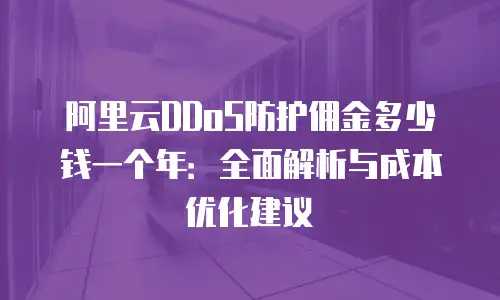阿里云DDoS防护佣金多少钱一个年：全面解析与成本优化建议